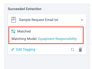 nlp_succeeded_extraction_detail.png