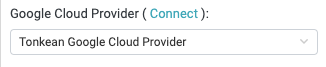 google_cloud_provider.png